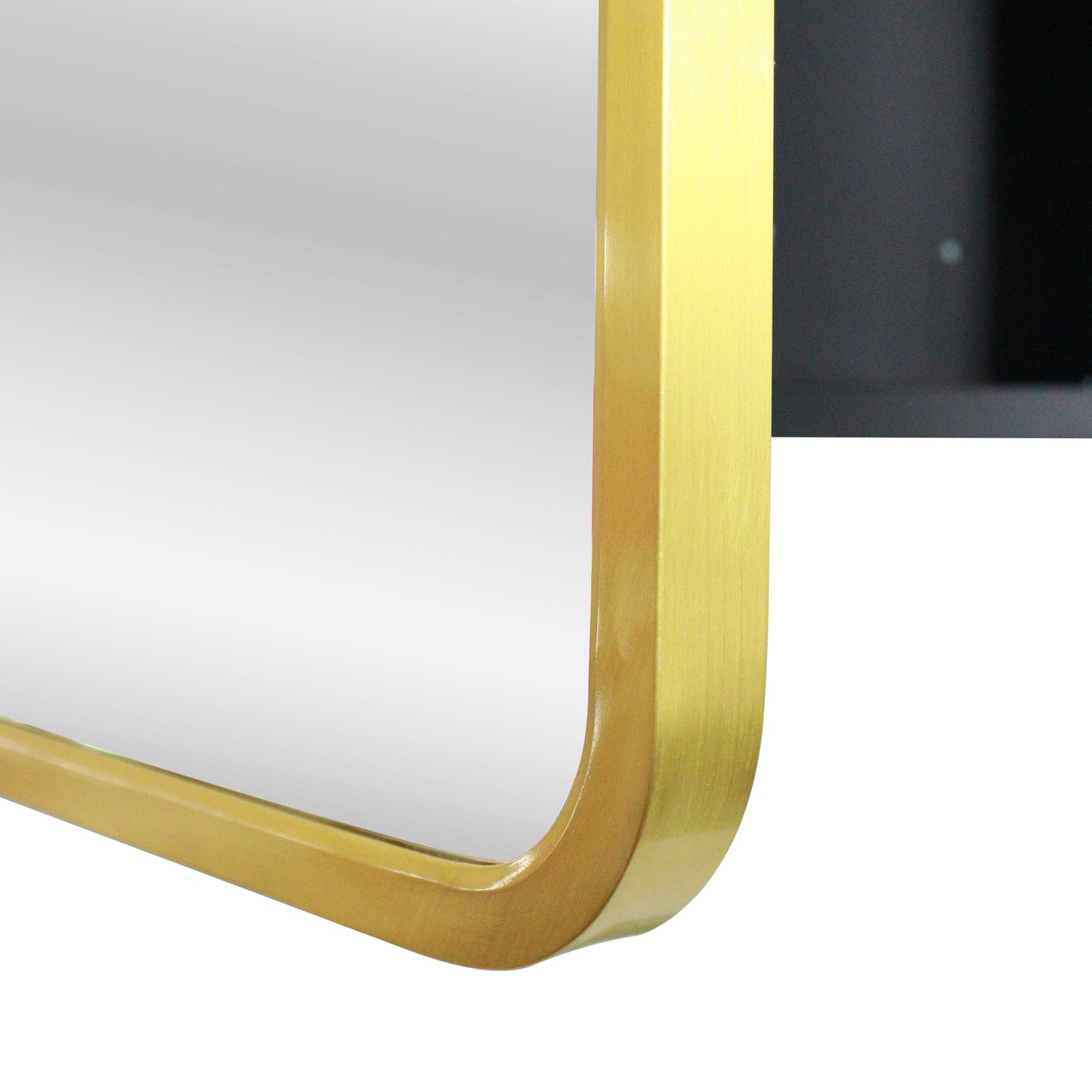 Forclover 24-in x 30-in Surface/Recessed Mount Gold + Matte Black Mirrored Soft Close Medicine Cabinet