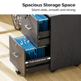 Winado Black 2-Drawer 15.75-in File Cabinet
