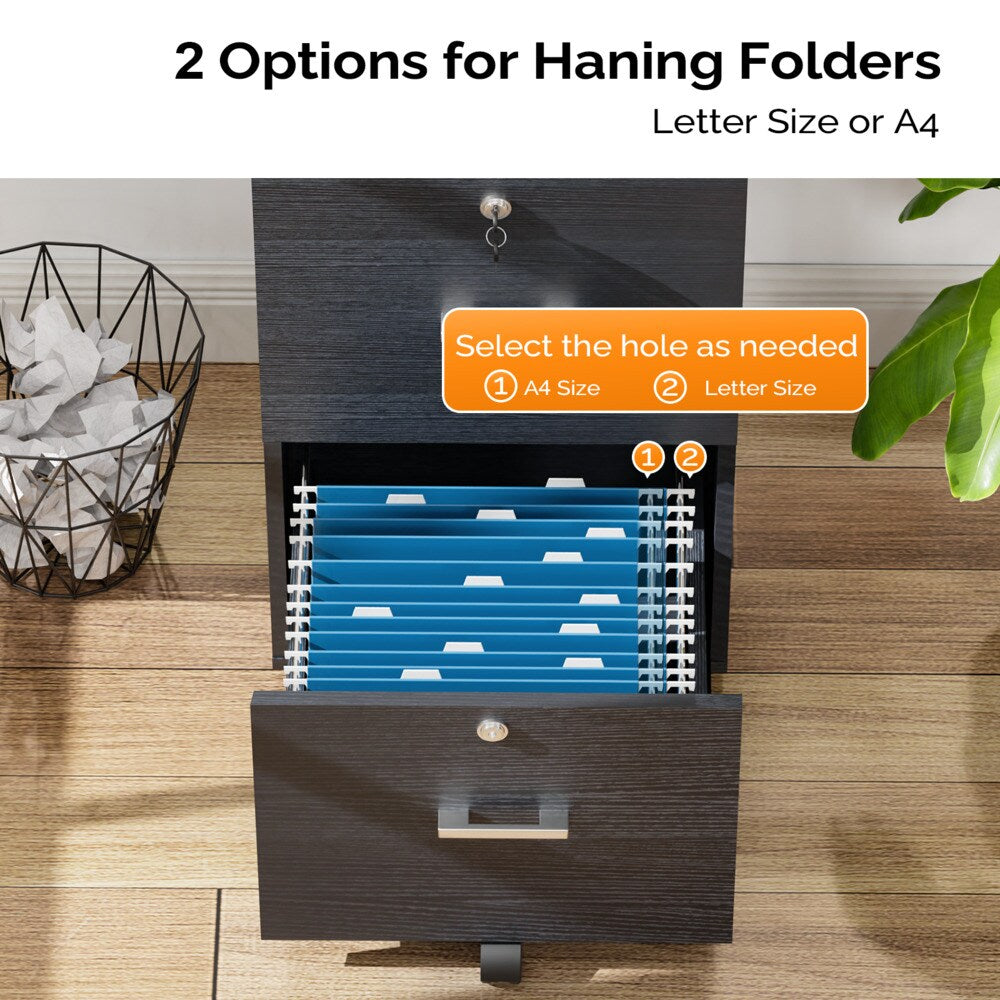 Winado Black 2-Drawer 15.75-in File Cabinet