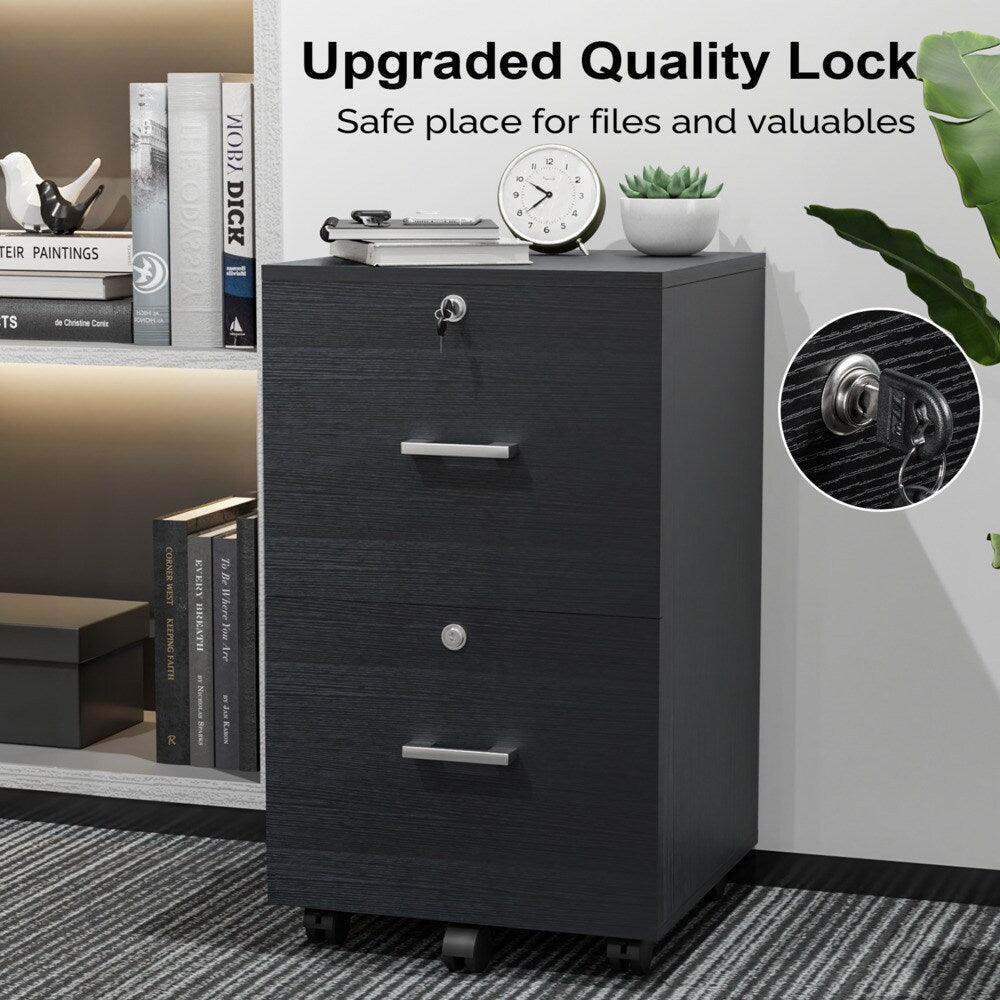 Winado Black 2-Drawer 15.75-in File Cabinet