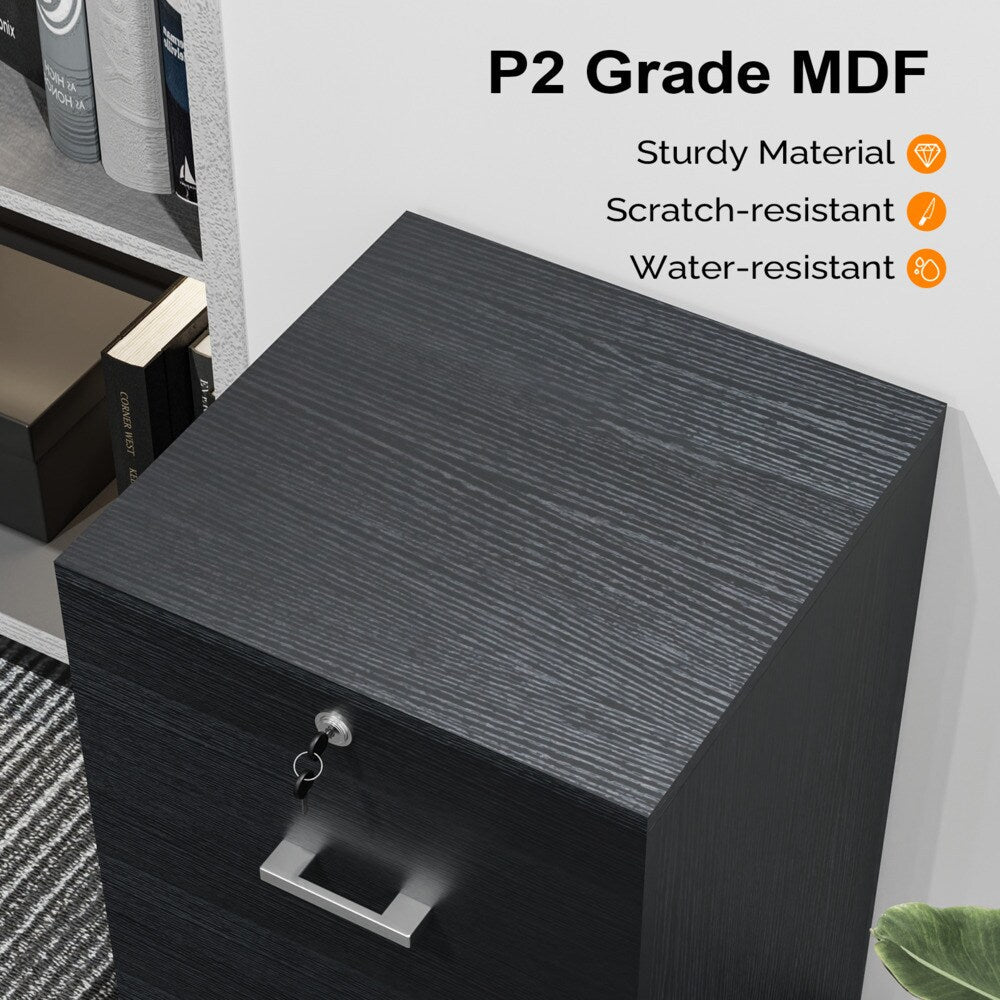 Winado Black 2-Drawer 15.75-in File Cabinet