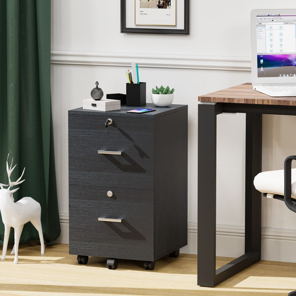 Winado Black 2-Drawer 15.75-in File Cabinet