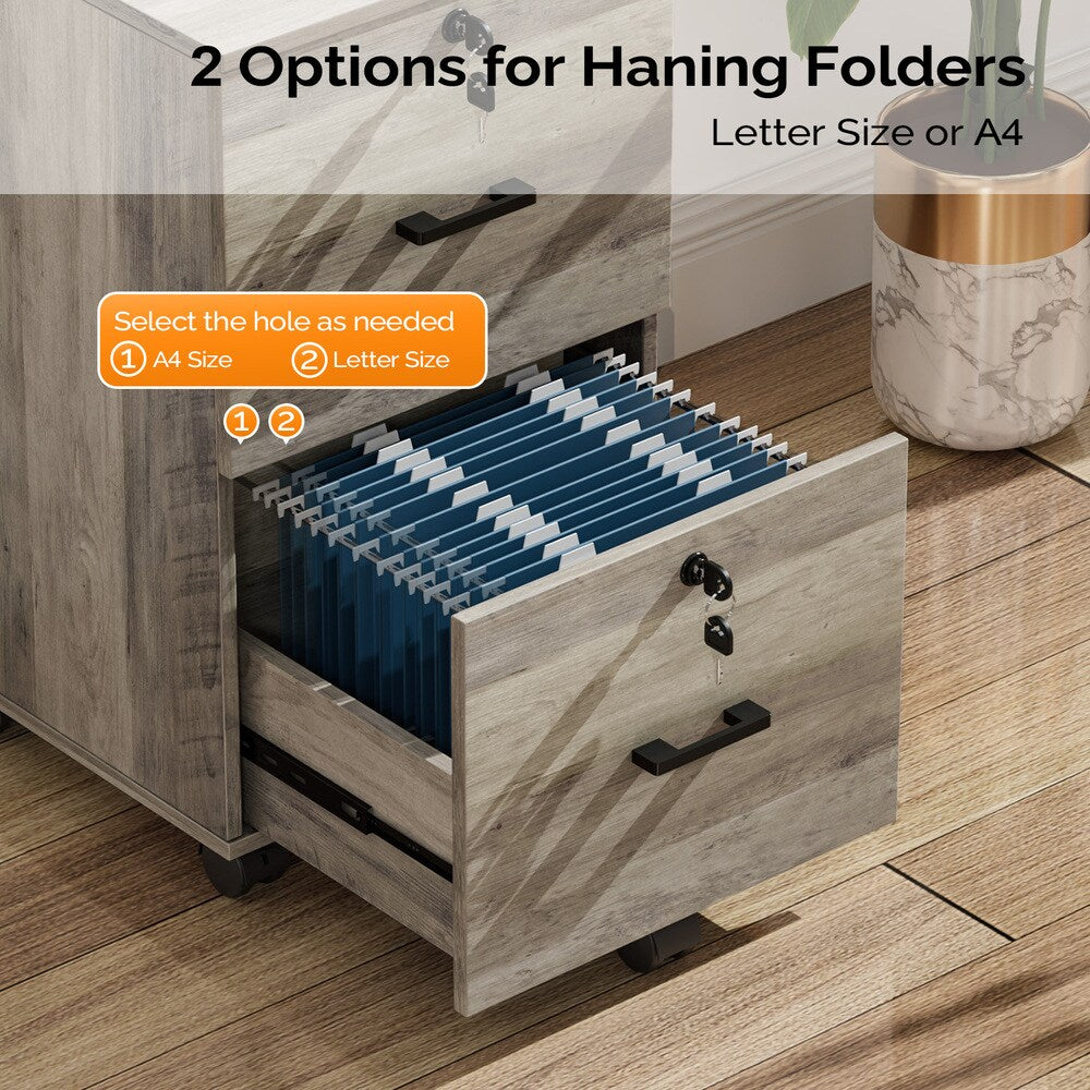 Winado Grey Oak 2-Drawer 15.75-in File Cabinet