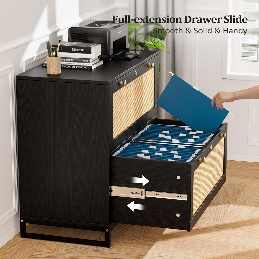 Winado Black 2-Drawer 29.53-in File Cabinet