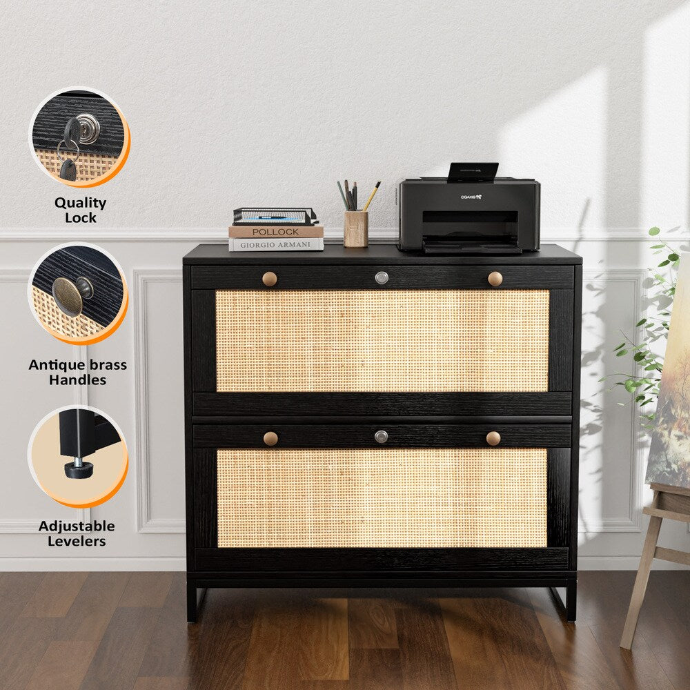 Winado Black 2-Drawer 29.53-in File Cabinet