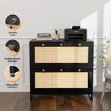 Winado Black 2-Drawer 29.53-in File Cabinet