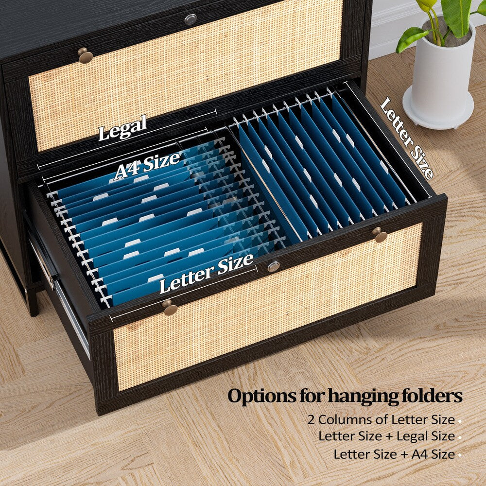 Winado Black 2-Drawer 29.53-in File Cabinet