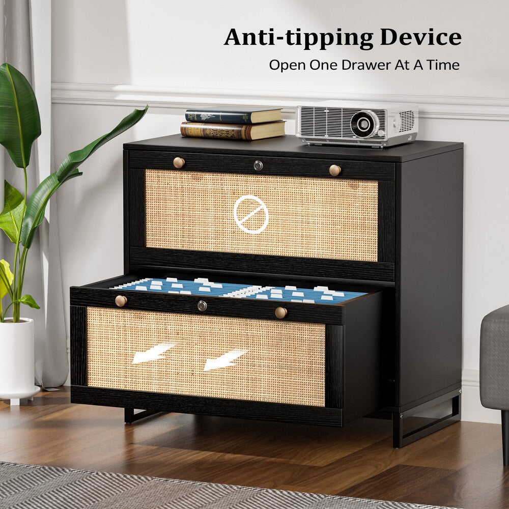 Winado Black 2-Drawer 29.53-in File Cabinet