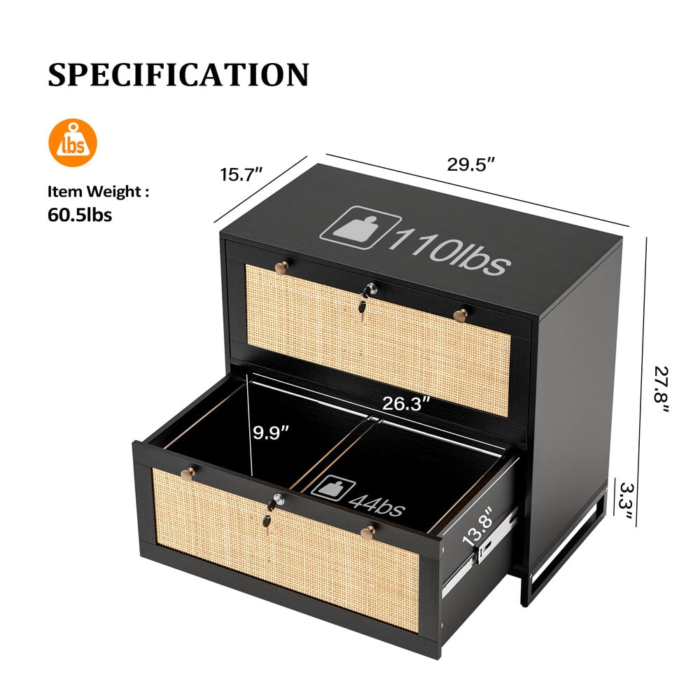 Winado Black 2-Drawer 29.53-in File Cabinet