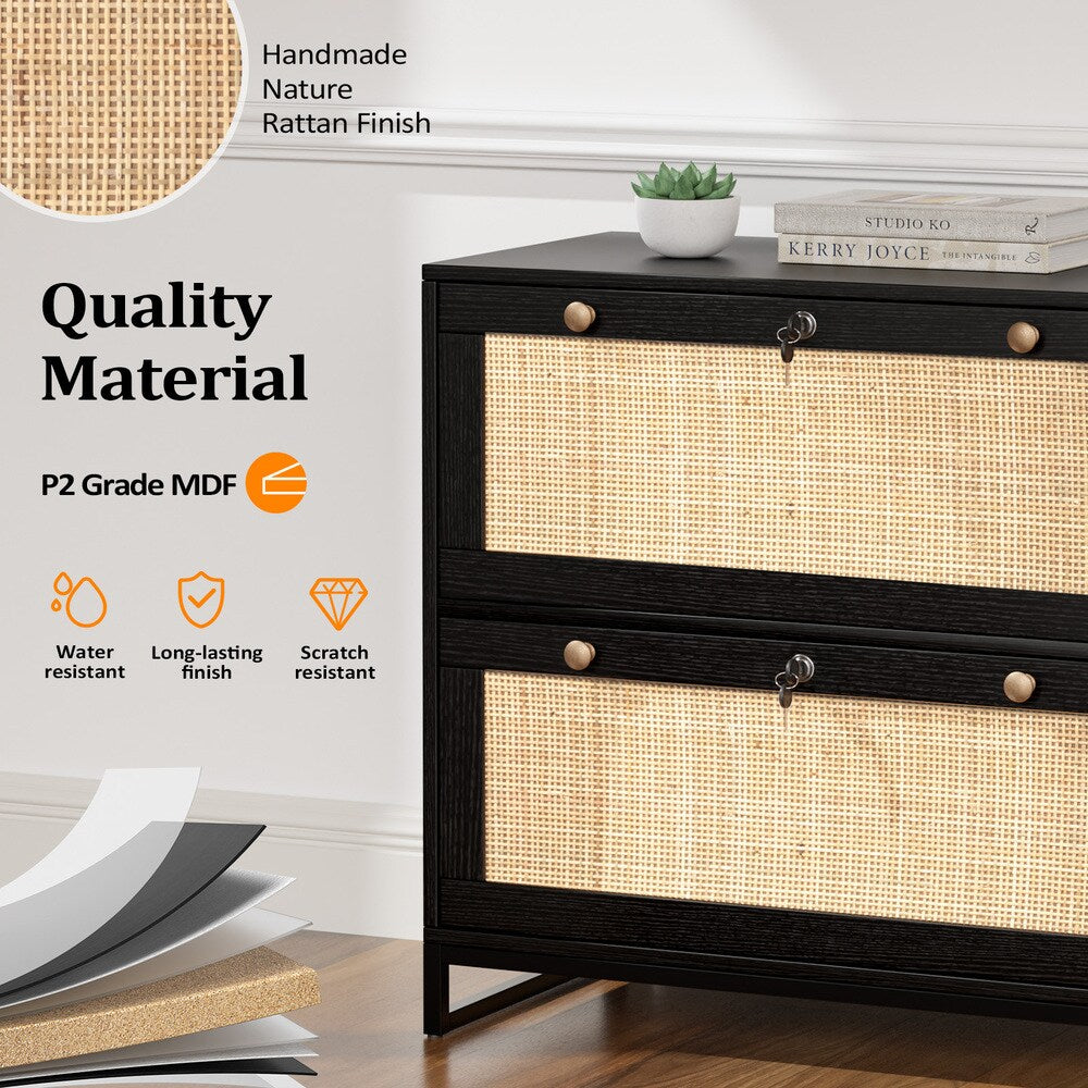 Winado Black 2-Drawer 29.53-in File Cabinet