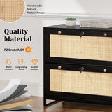 Winado Black 2-Drawer 29.53-in File Cabinet
