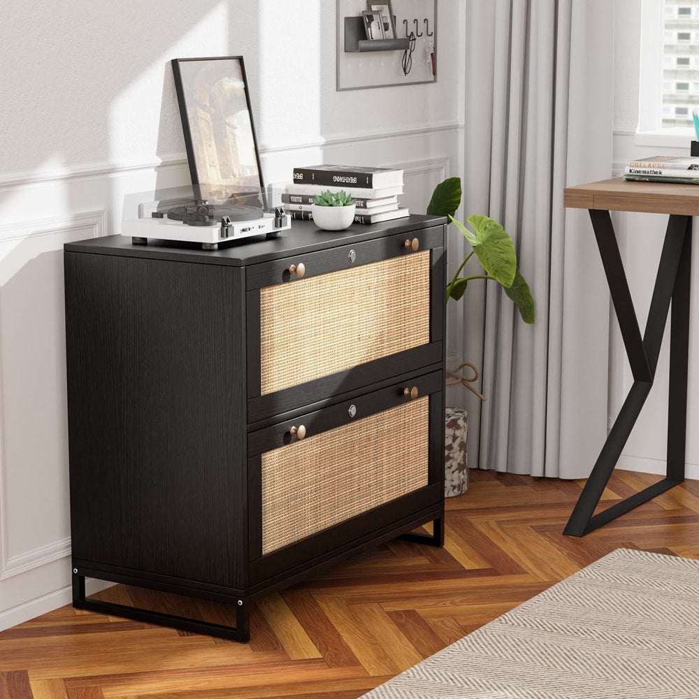 Winado Black 2-Drawer 29.53-in File Cabinet