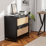 Winado Black 2-Drawer 29.53-in File Cabinet