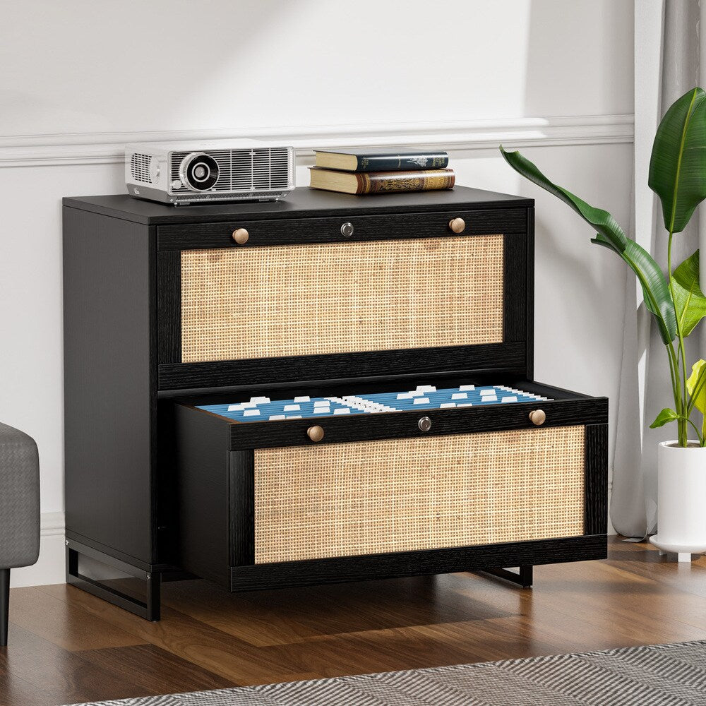 Winado Black 2-Drawer 29.53-in File Cabinet