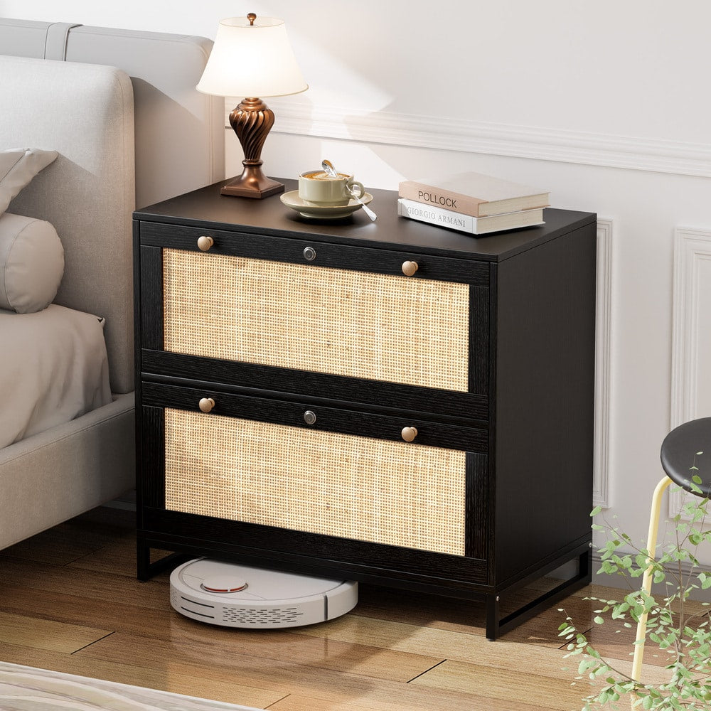 Winado Black 2-Drawer 29.53-in File Cabinet
