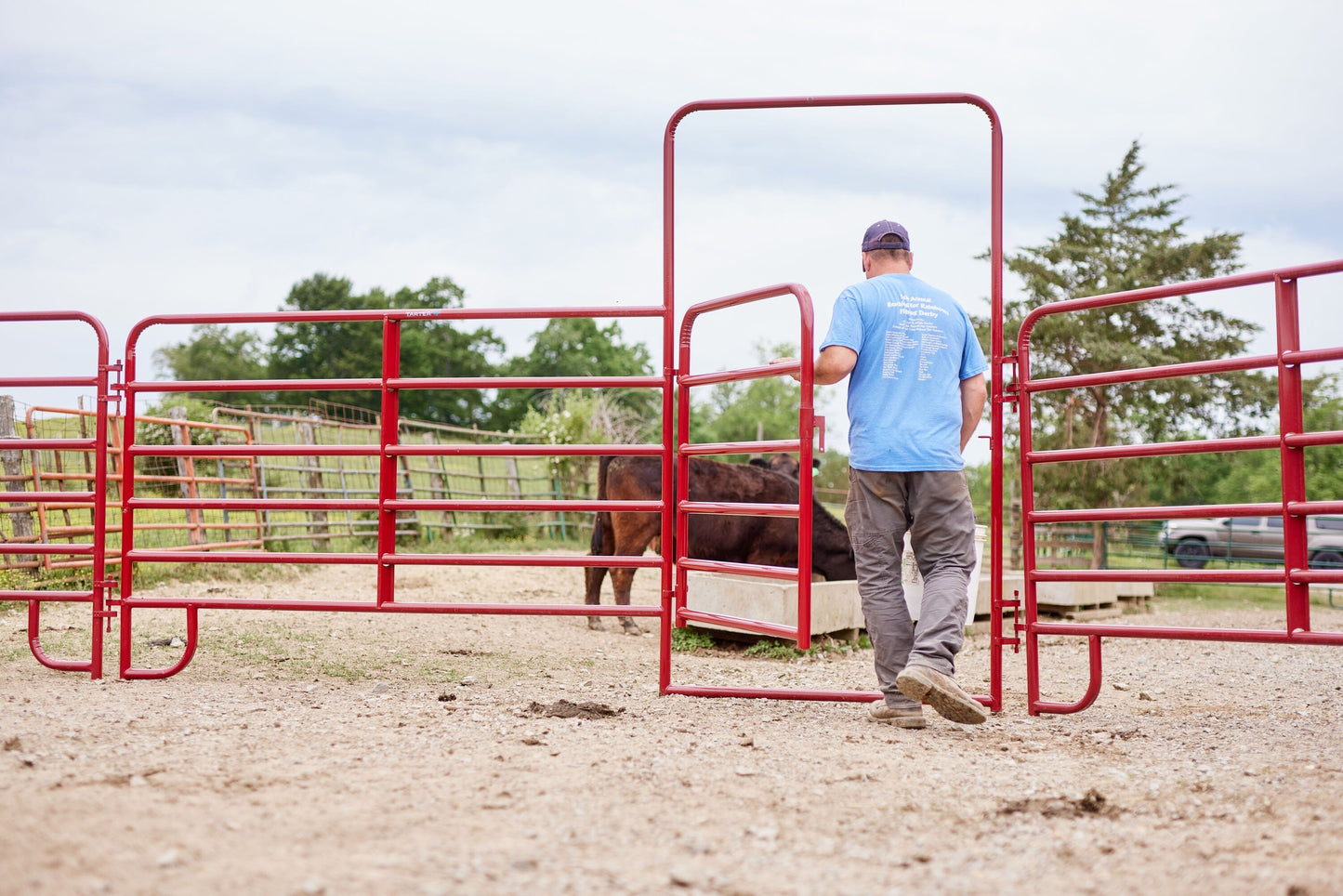 Tarter 8-ft H x 6-ft W Red E-coat Steel Round Flat-top Farm Fence Gate