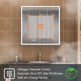 WELLFOR AYLA 30-in x 30-in Lighted LED Fog Free Surface/Recessed Mount Black Soft Close Medicine Cabinet with Outlet