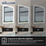 WELLFOR AURORA 30-in x 32-in Lighted LED Fog Free Surface/Recessed Mount Silver Mirrored Soft Close Medicine Cabinet