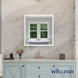 WELLFOR AURORA 30-in x 32-in Lighted LED Fog Free Surface/Recessed Mount Silver Mirrored Soft Close Medicine Cabinet