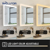 WELLFOR AURORA 48-in x 32-in Lighted LED Fog Free Surface/Recessed Mount Silver Mirrored Soft Close Medicine Cabinet