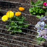 Everbilt 2.3 ft. x 50 ft. Galvanized Steel Garden Welded Wire Fence