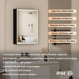 Forclover 24-in x 30-in Lighted LED Fog Free Surface/Recessed Mount Black Mirrored Medicine Cabinet with Outlet