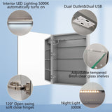 Forclover 24-in x 32-in Lighted LED Fog Free Surface Mount Silver Mirrored Soft Close Medicine Cabinet with Outlet