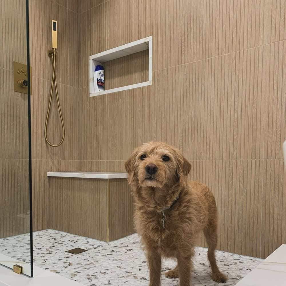 The Tile Life Marqueterie Beige 24-in x 48-in Matte Porcelain Wood look Floor and Wall Tile product image