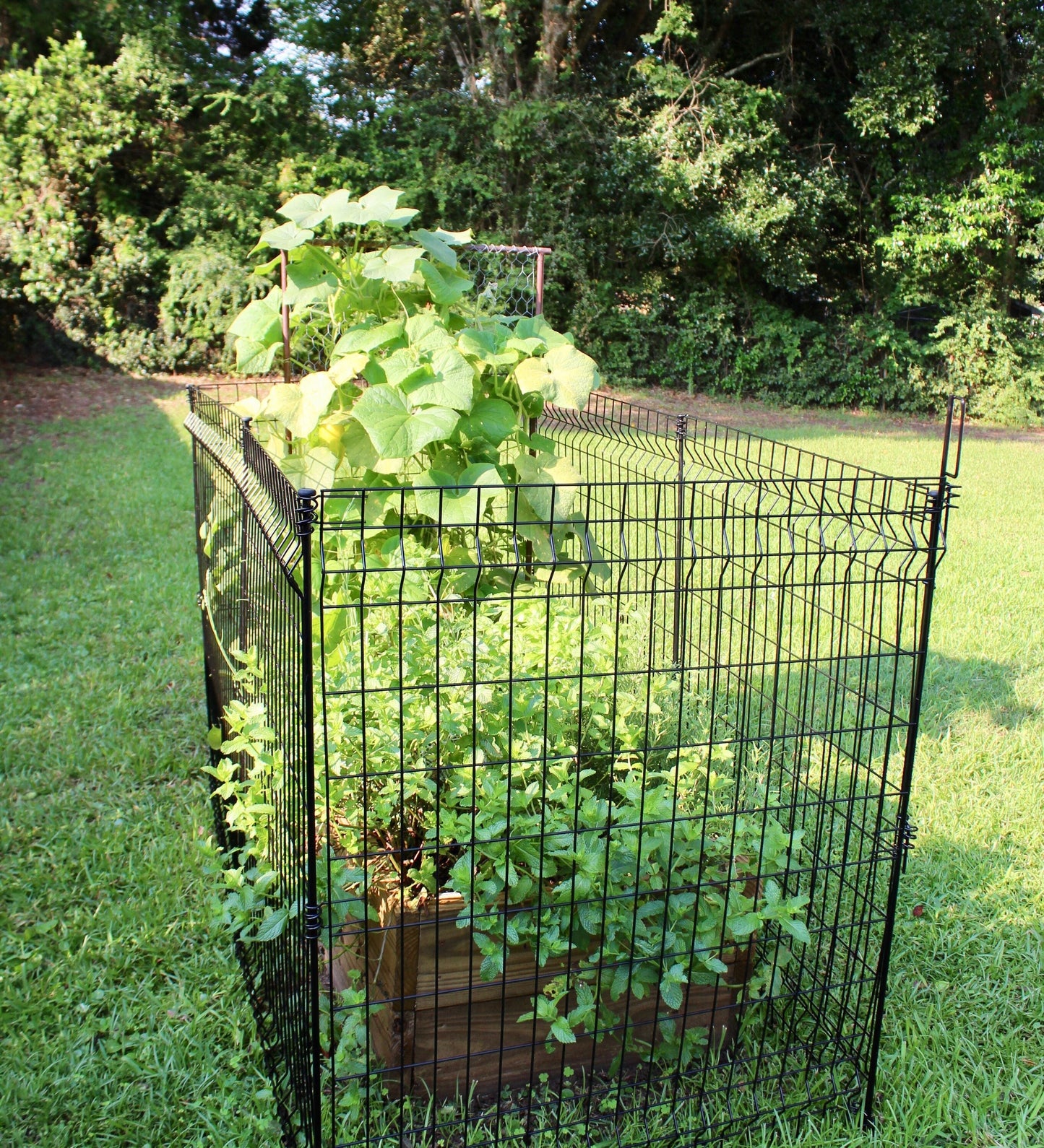 YARDLINK 4-ft H x 2-in W Black Steel Decorative Metal No Dig Garden Fence Post