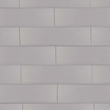 Elida Ceramica Gray 3-in x 12-in Glossy Glass Subway Wall Tile