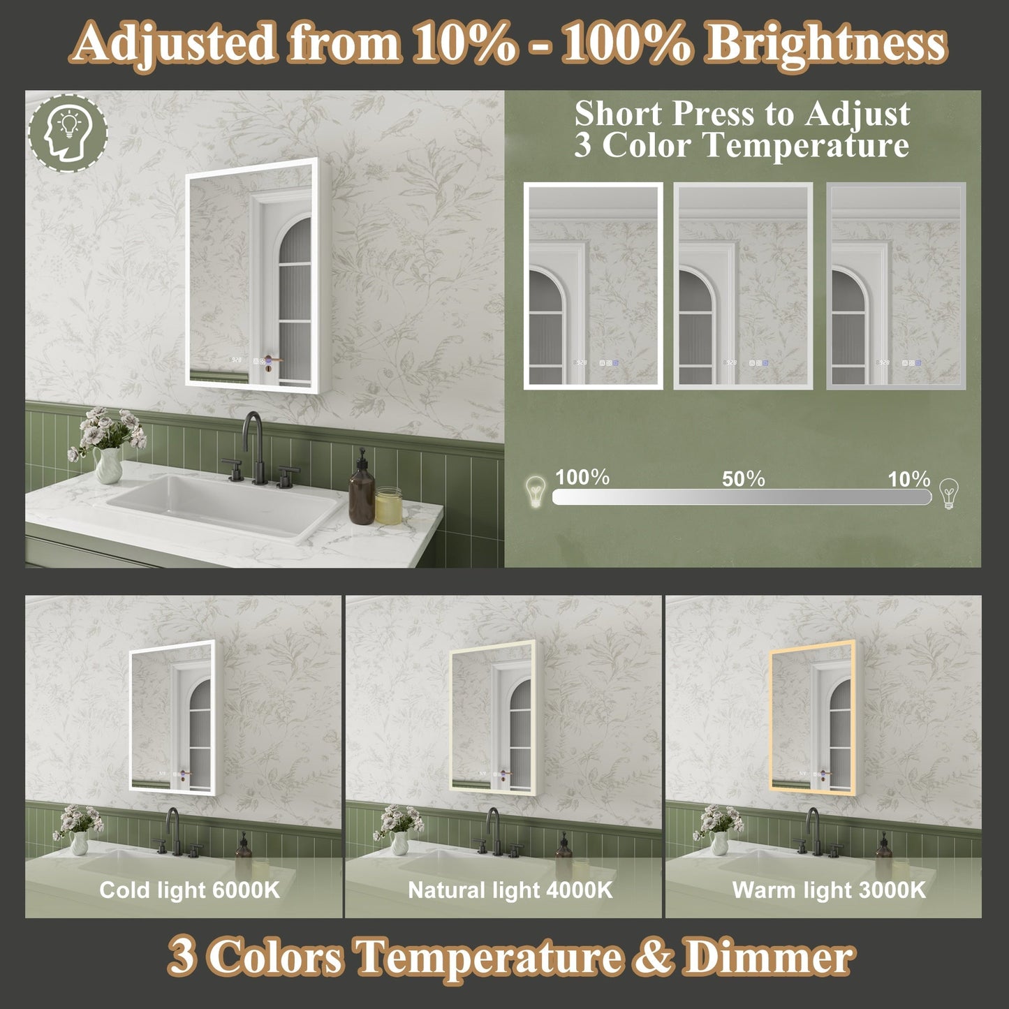 ExBrite Luvia 20-in x 30-in Lighted LED Fog Free Surface/Recessed Mount Silver Mirrored Soft Close Medicine Cabinet with Outlet