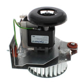 Packard 66752 inducer motor - side view (Type: Shaded Pole; Voltage: 115V)