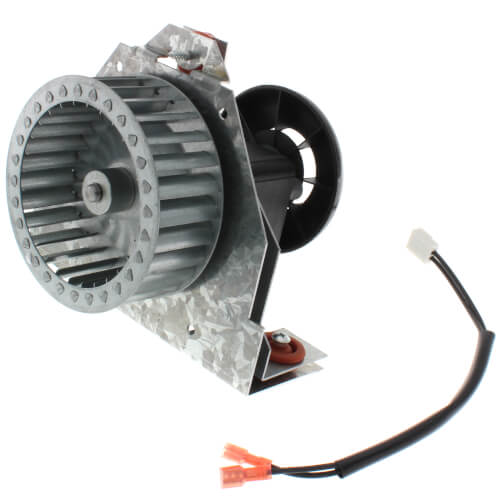 Packard 66752 inducer motor - detail view (Type: Shaded Pole; Voltage: 115V)