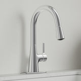 allen + roth Gillen Stainless Utility Faucet with Pulldown Sprayer