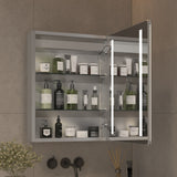 AAZJ V4 20-in x 26-in Lighted LED Fog Free Surface/Recessed Mount Silver Mirrored Medicine Cabinet
