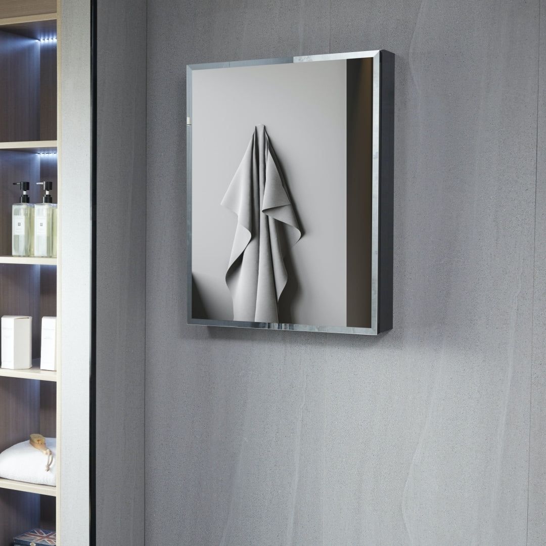 AAZJ KA 19-in x 30-in Surface/Recessed Mount Silver Mirrored Soft Close Medicine Cabinet