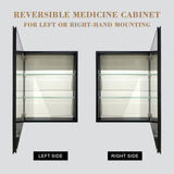 AAZJ 20-in x 26-in Surface/Recessed Mount Polished Mirrored Soft Close Medicine Cabinet