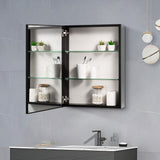 AAZJ 20-in x 26-in Surface/Recessed Mount Polished Mirrored Soft Close Medicine Cabinet