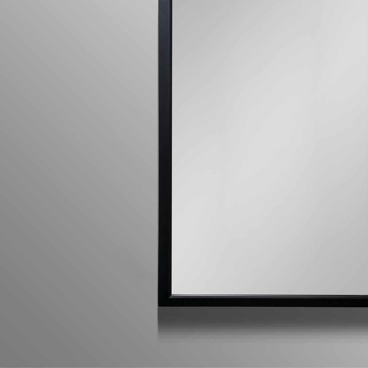 AAZJ AS 30-in x 26-in Surface/Recessed Mount Black Medicine Cabinet