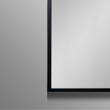 AAZJ AS 30-in x 26-in Surface/Recessed Mount Black Medicine Cabinet