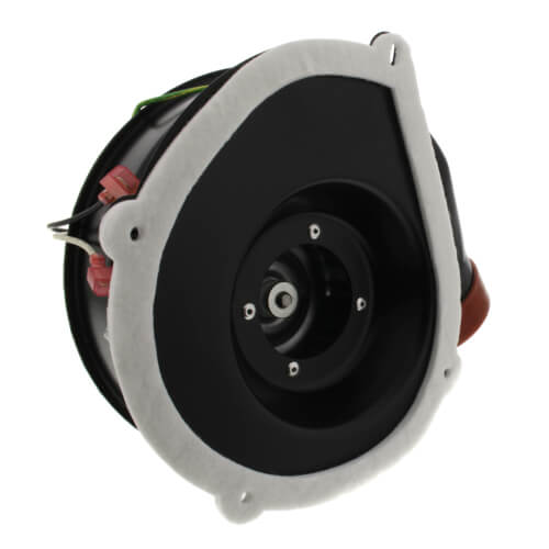Packard 66781 inducer motor - detail view (Voltage: 115V; RPM: 3000)