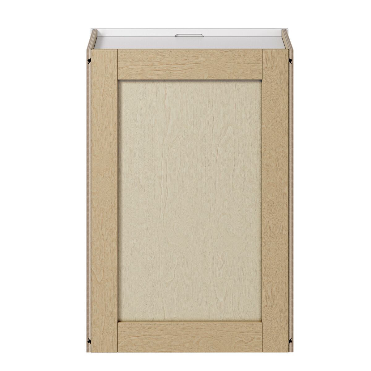 Whalen CLICK-IT Enfield 21-in W x 30-in H x 12-in D Classic White Birch Wall Ready To Assemble Plywood Cabinet (Raised Panel Shaker Door Style)