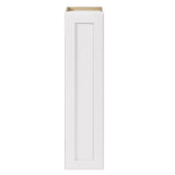 Whalen CLICK-IT Enfield 9-in W x 36-in H x 12-in D Classic White Birch Wall Ready To Assemble Plywood Cabinet (Raised Panel Shaker Door Style)