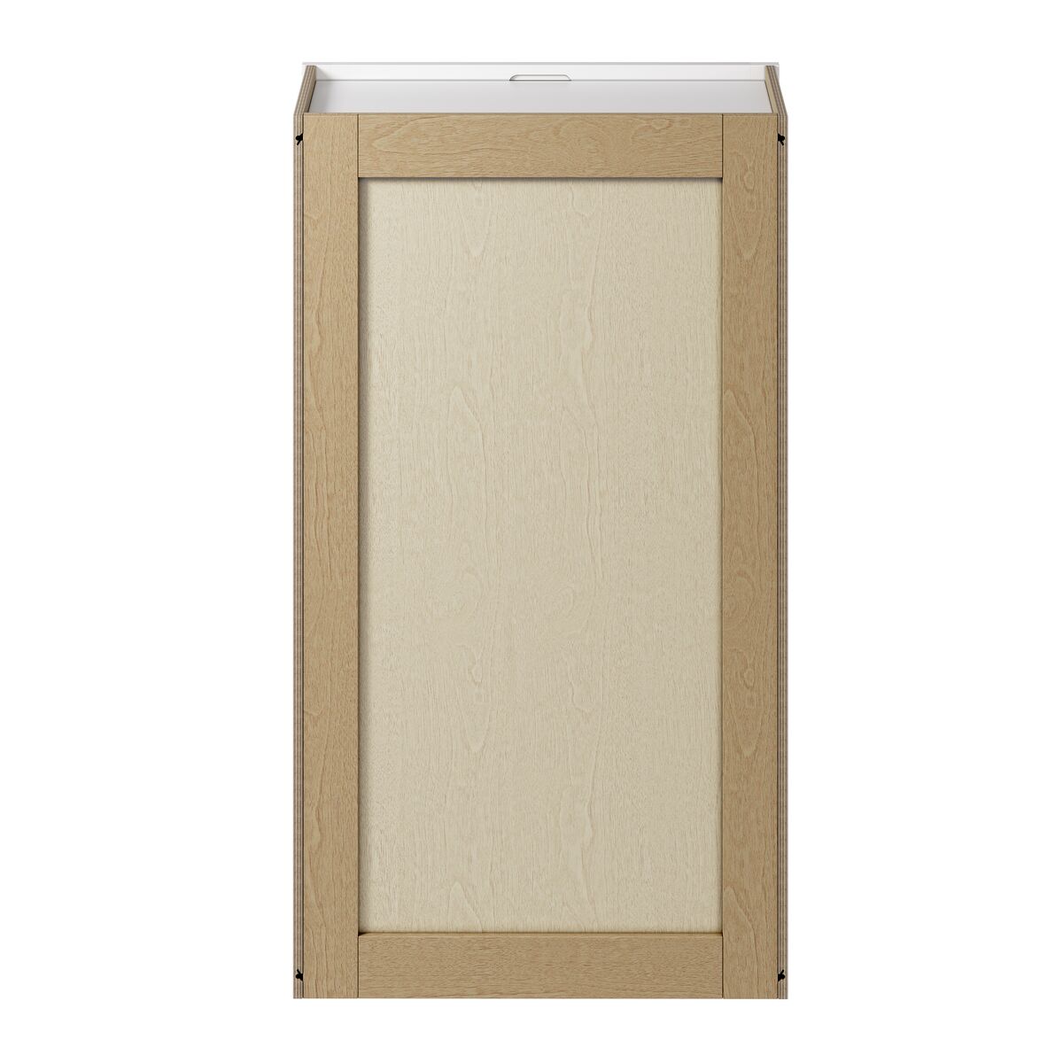 Whalen CLICK-IT Enfield 24-in W x 42-in H x 12-in D Classic White Birch Wall Ready To Assemble Plywood Cabinet (Raised Panel Shaker Door Style)
