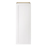 Whalen CLICK-IT Enfield 18-in W x 49.5-in H x 24-in D Classic White Birch Pantry Ready To Assemble Plywood Cabinet (Raised Panel Shaker Door Style)