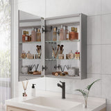 WELLFOR 20-in x 28-in Lighted LED Fog Free Surface Mount Silver Mirrored Soft Close Medicine Cabinet