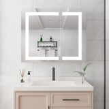 WELLFOR 36-in x 30-in Lighted LED Fog Free Surface Mount Silver Mirrored Soft Close Medicine Cabinet