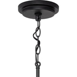 Progress Lighting Briarwood 4-Light Textured Black Farmhouse Rectangle Medium Hanging Pendant Light