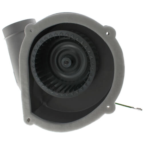 Packard 66847 inducer motor - side view (Type: Shaded Pole; Voltage: 120v)