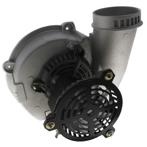 Packard 66847 inducer motor - detail view (Type: Shaded Pole; Voltage: 120v)